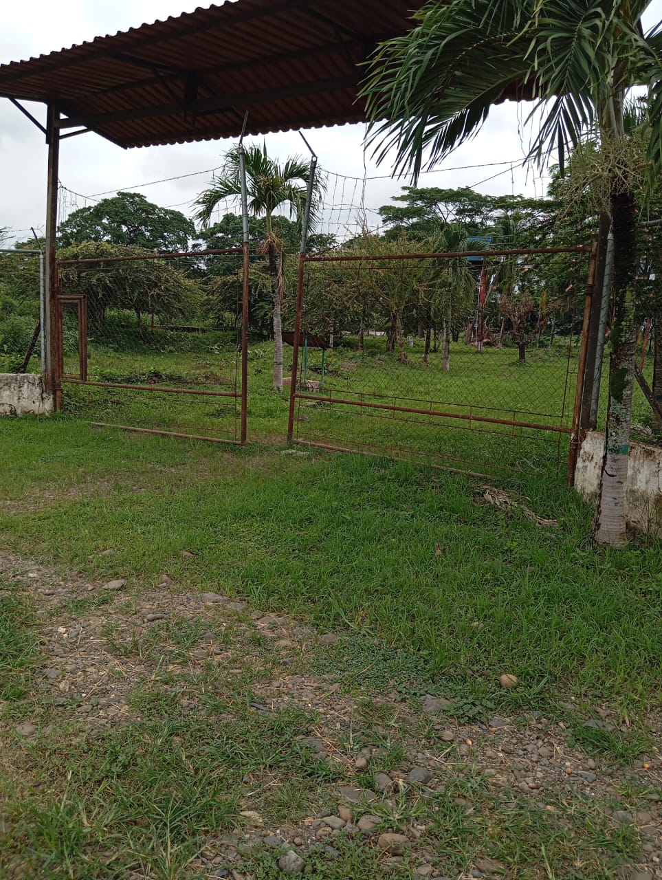 En Venta Parcela ubicada en Guanare, Suruguapo Asentamiento Media Luna, Sector Los Alambres, Guanare, Portuguesa, Venezuela - Imagen 2