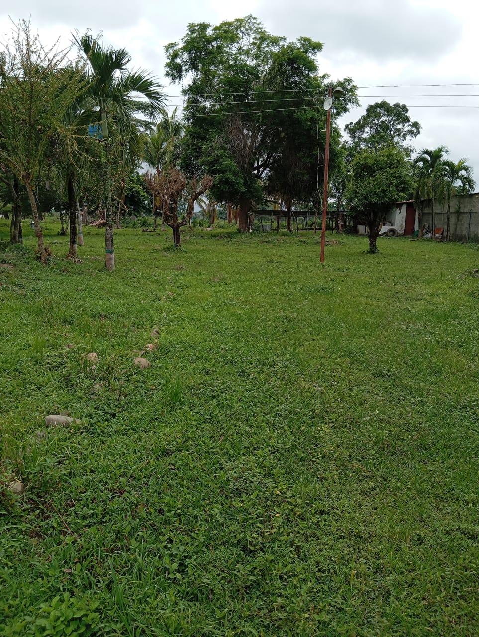 En Venta Parcela ubicada en Guanare, Suruguapo Asentamiento Media Luna, Sector Los Alambres, Guanare, Portuguesa, Venezuela - Imagen 15