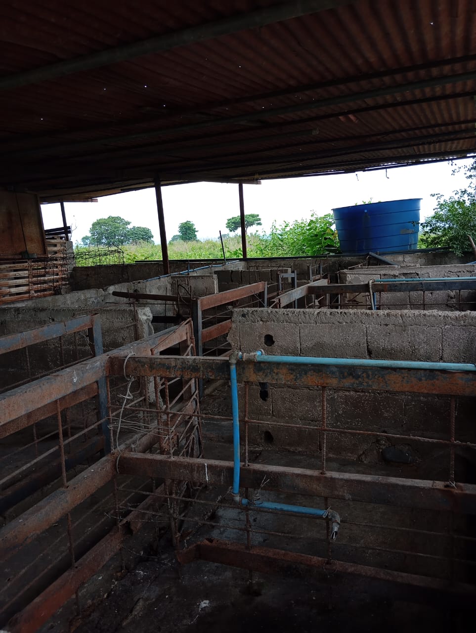En Venta Parcela ubicada en Guanare, Suruguapo Asentamiento Media Luna, Sector Los Alambres, Guanare, Portuguesa, Venezuela - Imagen 8