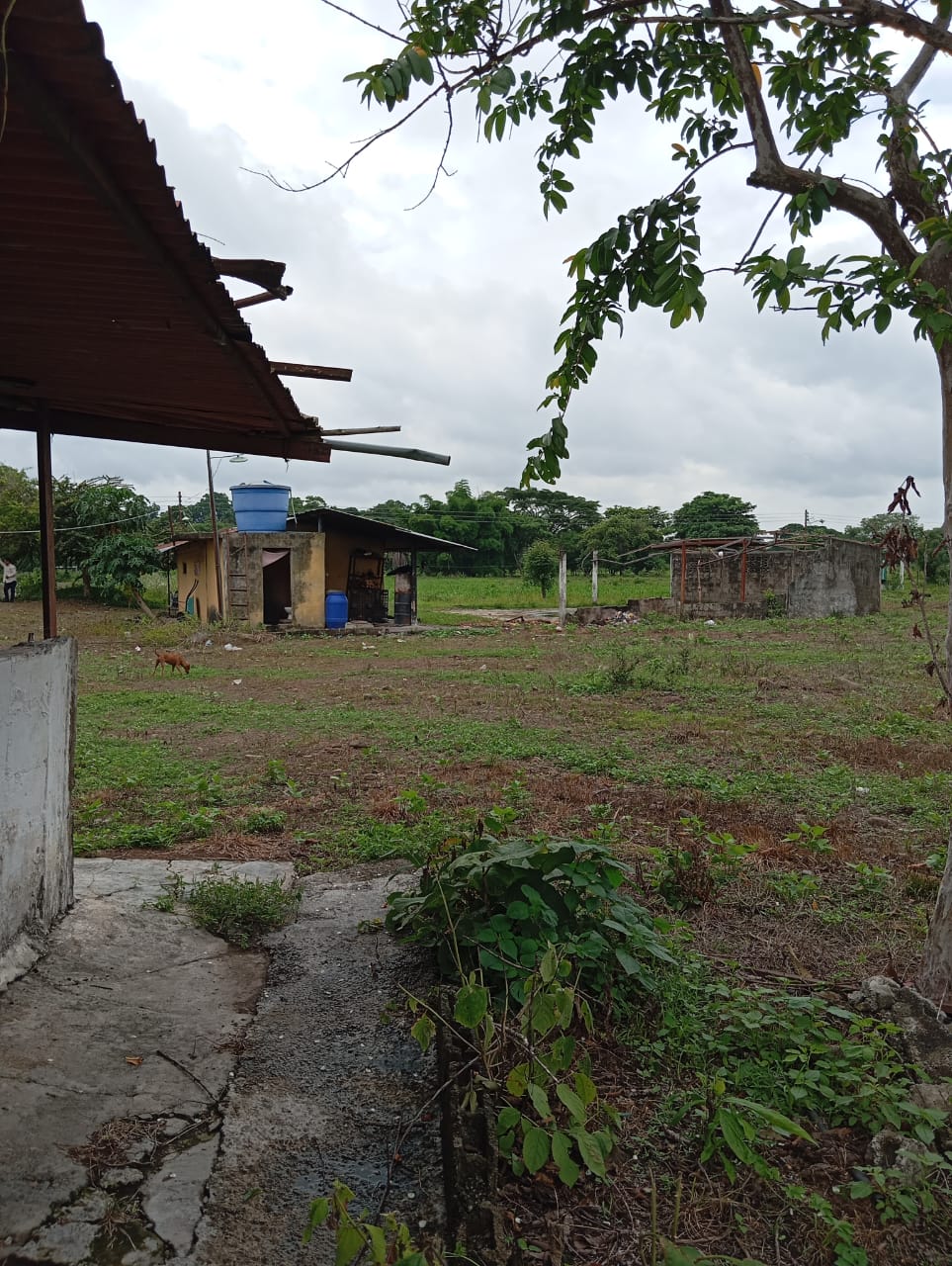 En Venta Parcela ubicada en Guanare, Suruguapo Asentamiento Media Luna, Sector Los Alambres, Guanare, Portuguesa, Venezuela - Imagen 19