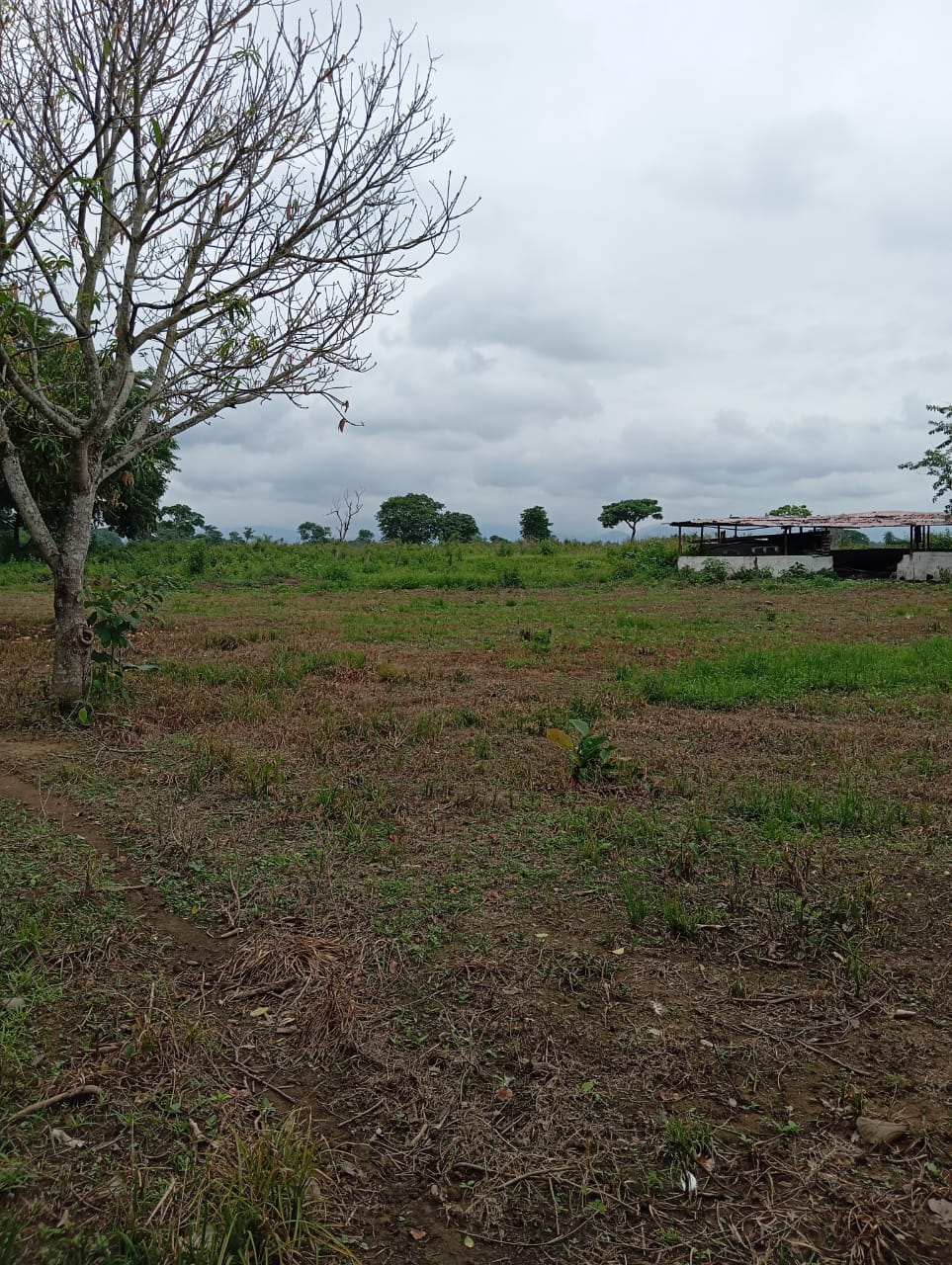 En Venta Parcela ubicada en Guanare, Suruguapo Asentamiento Media Luna, Sector Los Alambres, Guanare, Portuguesa, Venezuela - Imagen 9