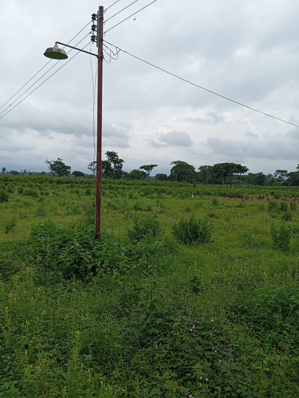 En Venta Parcela ubicada en Guanare, Suruguapo Asentamiento Media Luna, Sector Los Alambres, Guanare, Portuguesa, Venezuela - Imagen 10