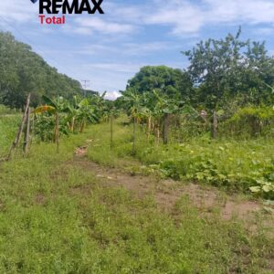 En Venta Parcela de 3 Ha con Bienhechurías ubicada en Guanare, Colinas de Italven parte baja, Calle Principal, Sector Los Canales, a 2km de la Av. Bicentenaria, Guanare, Portuguesa, Venezuela