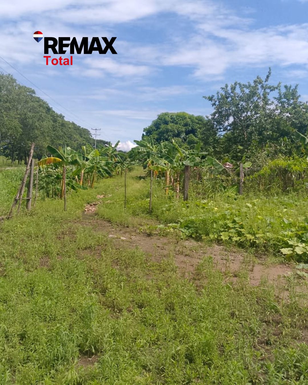 En Venta Parcela de 3 Ha con Bienhechurías ubicada en Guanare, Colinas de Italven parte baja, Calle Principal, Sector Los Canales, a 2km de la Av. Bicentenaria, Guanare, Portuguesa, Venezuela
