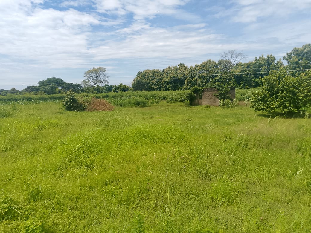 En Venta Parcela de 3 Ha con Bienhechurías ubicada en Guanare, Colinas de Italven parte baja, Calle Principal, Sector Los Canales, a 2km de la Av. Bicentenaria, Guanare, Portuguesa, Venezuela - Imagen 15