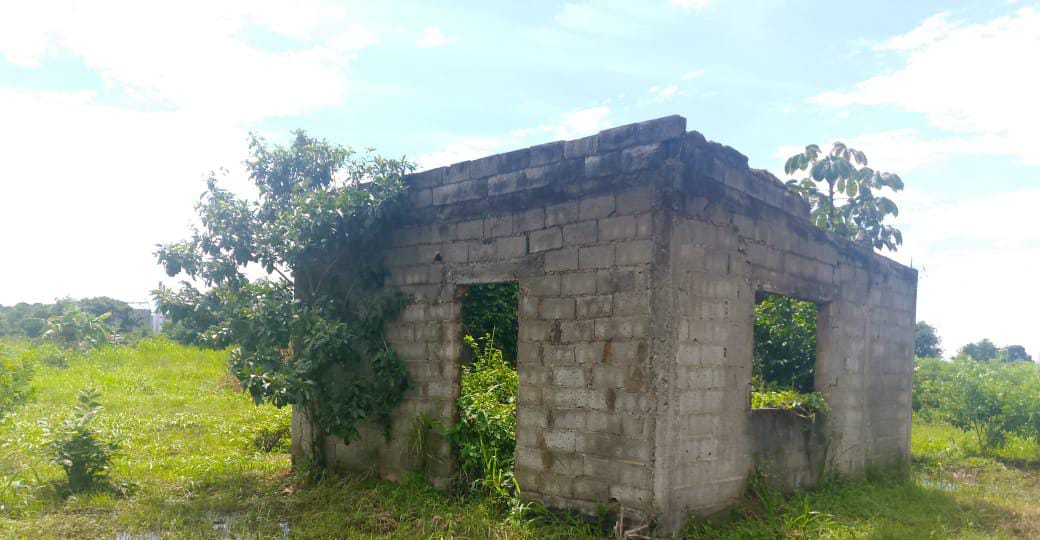 En Venta Parcela de 3 Ha con Bienhechurías ubicada en Guanare, Colinas de Italven parte baja, Calle Principal, Sector Los Canales, a 2km de la Av. Bicentenaria, Guanare, Portuguesa, Venezuela - Imagen 24