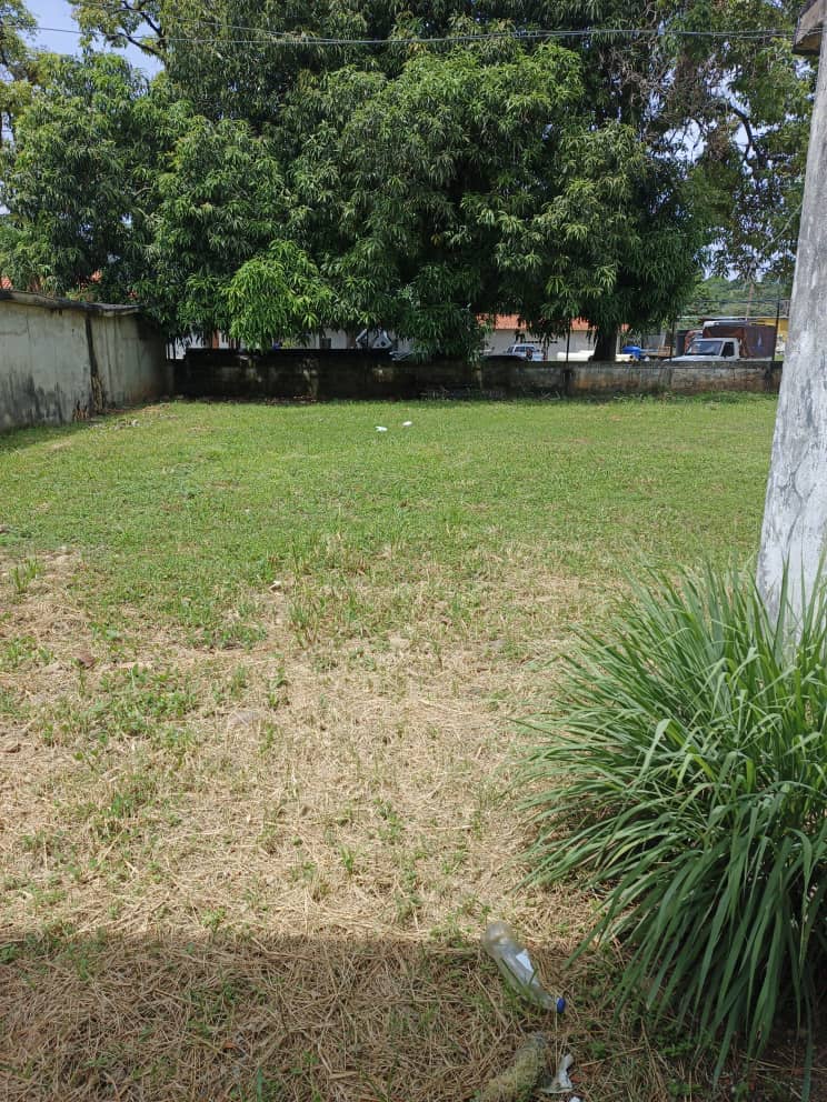 En Venta Casa con Local Comercial con amplio Terreno propio, ubicada en Guanare, Avenida Juan Fernández de León, Primera Entrada Sector Sucre, Guanare, Portuguesa, Venezuela - Imagen 5